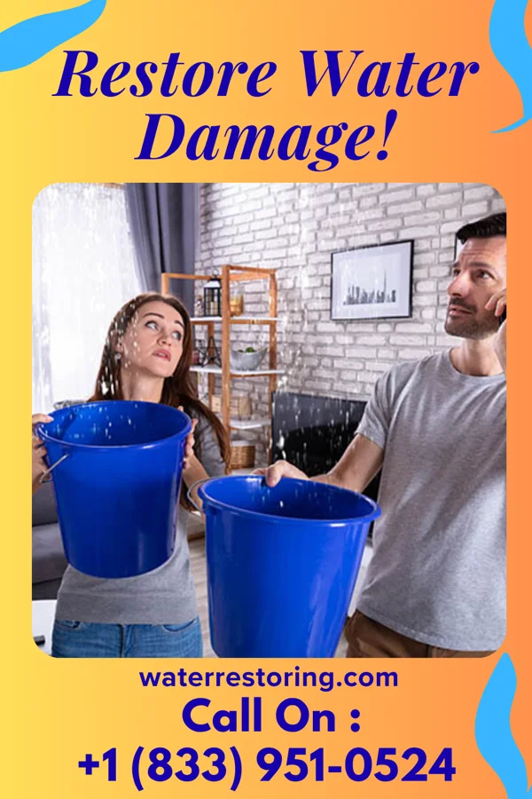 water restoration Stellar Flood Cleanup Experts Calypso