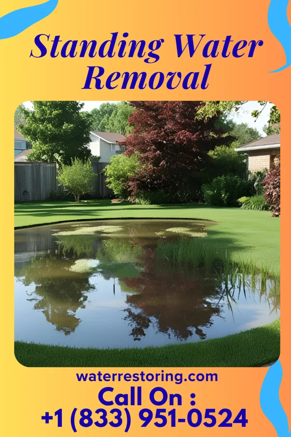 Standing Water Removal in Calypso, NC